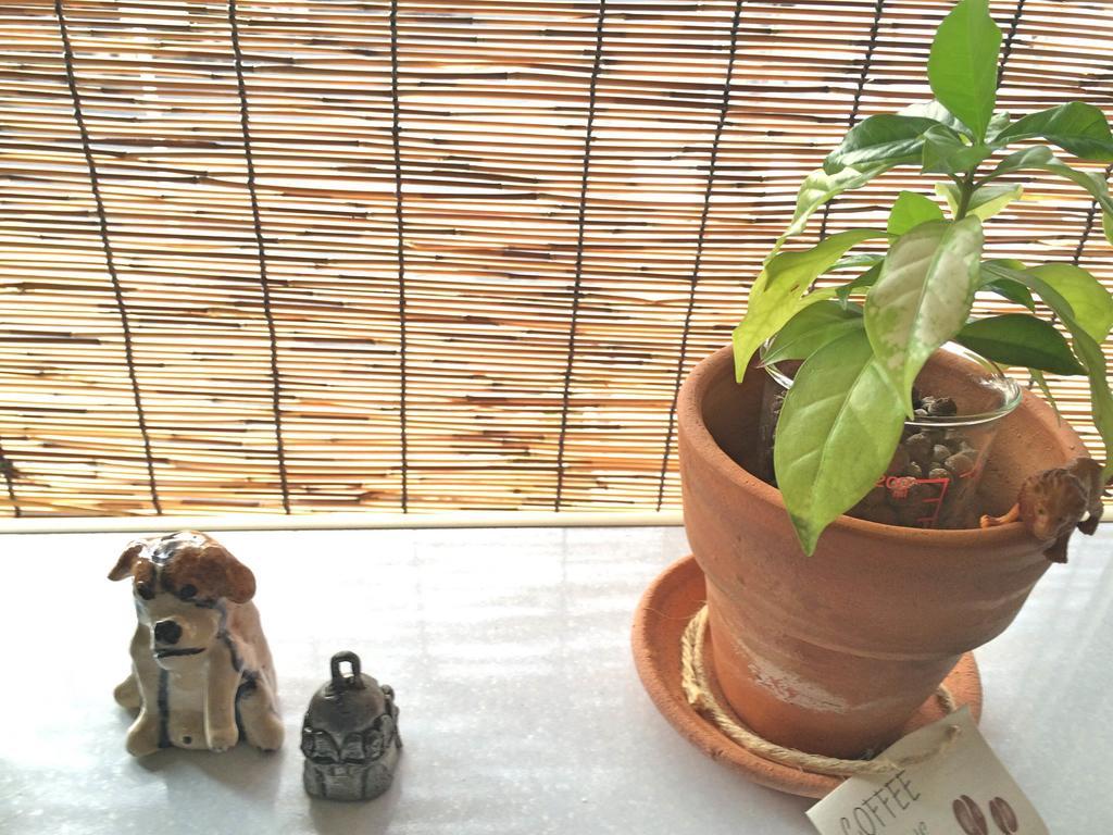Guesthouse Oasis Οσάκα Εξωτερικό φωτογραφία
